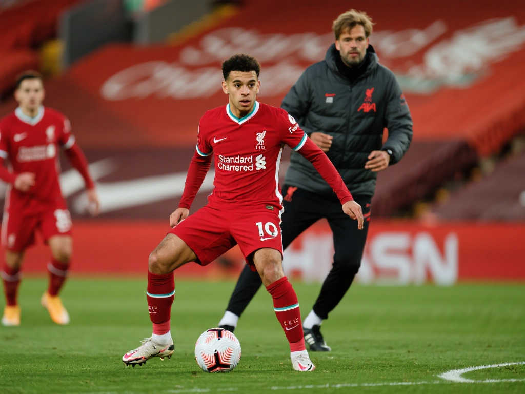 全明星阵容 全明星阵容